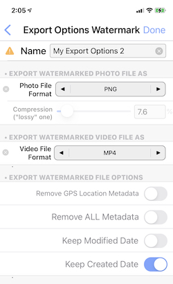 export options screenshot
