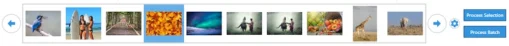 image well with thumbnails in iwatermark pro 2 for win