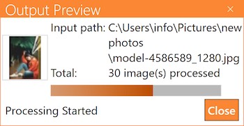 output window for iwatermark pro 2 for windows